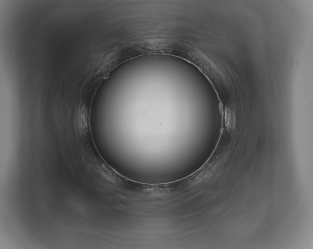 X0000111581107200907231230