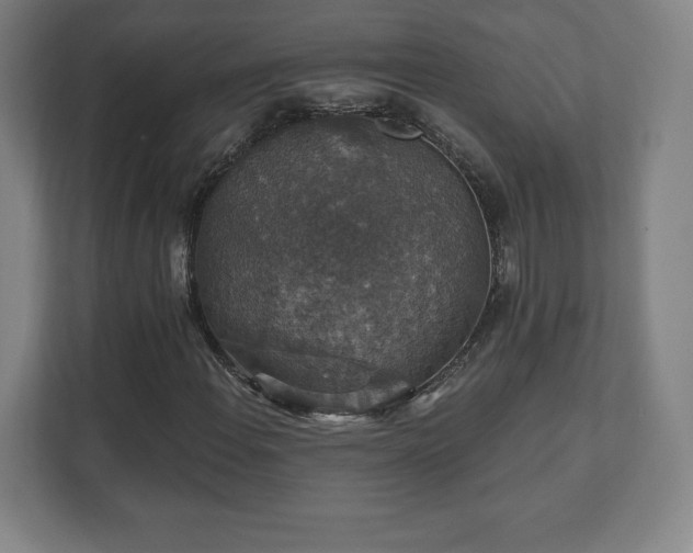 X0000111581108200907231230