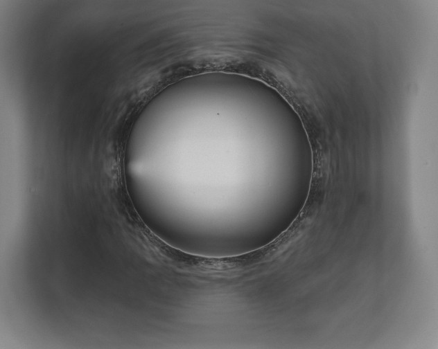 X0000111581109200907231230