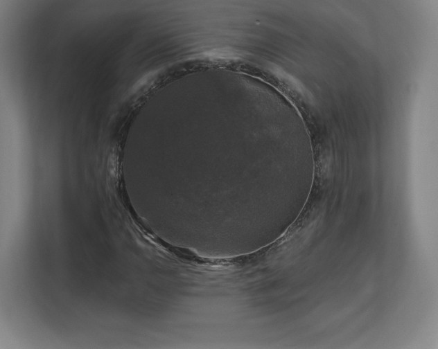 X0000111581110200907231230
