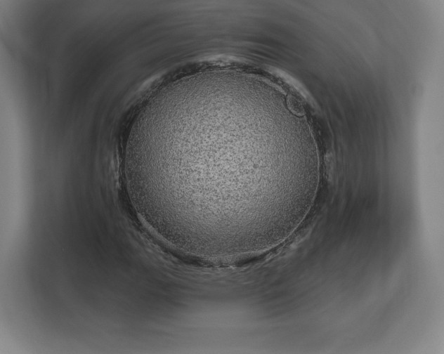 X0000111581111200907231230