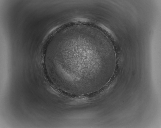 X0000111581112200907231230