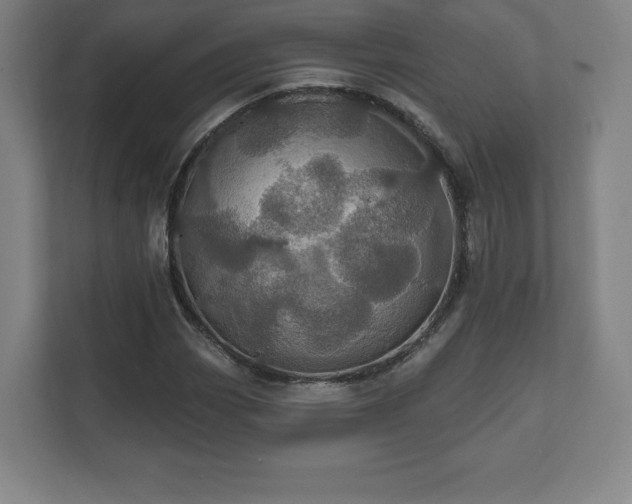 X0000111581113200907231230