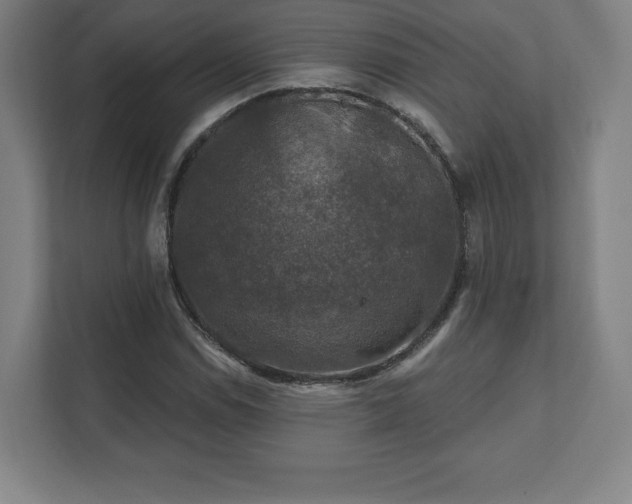 X0000111581114200907231230