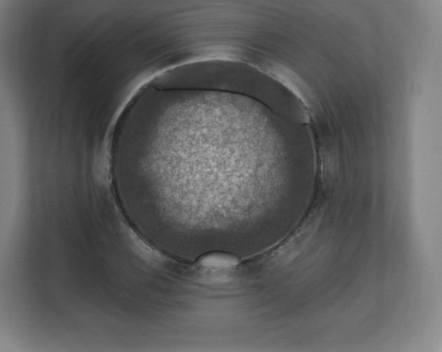 X0000111581116200907231230