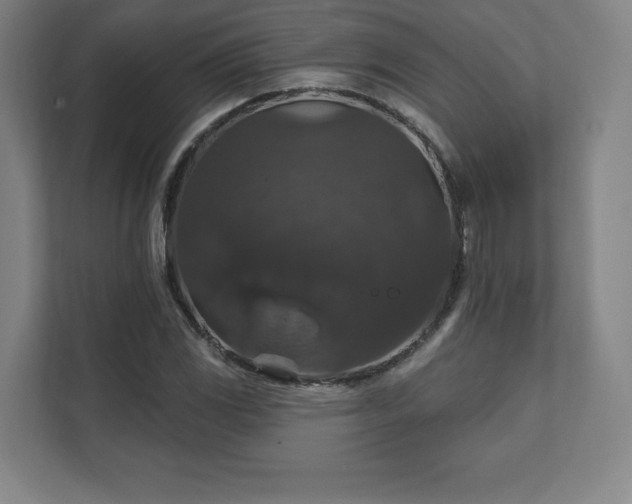X0000111581117200907231230