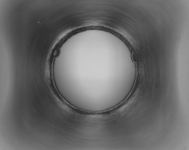 X0000111581118200907231230