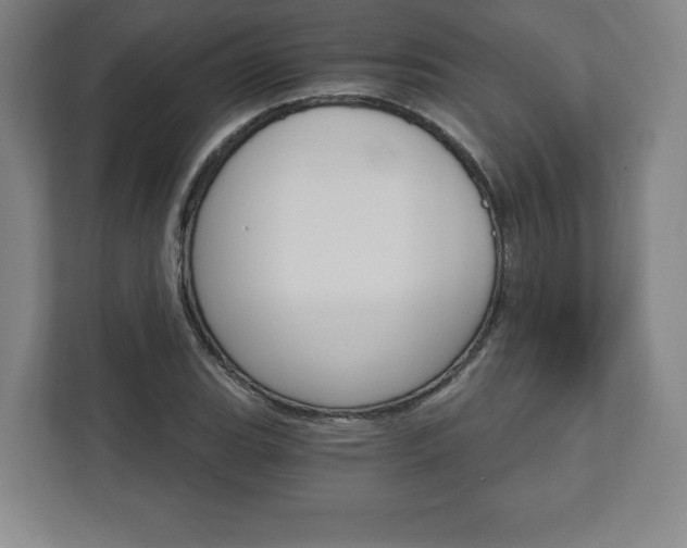 X0000111581119200907231230