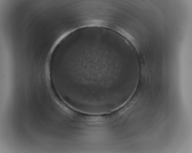 X0000111581120200907231230