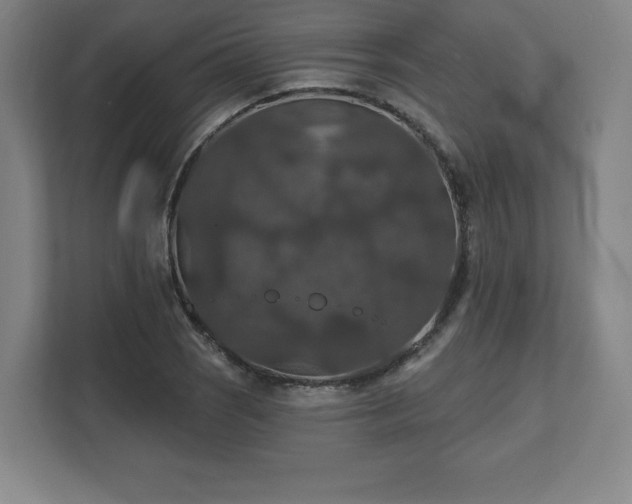 X0000111581121200907231230