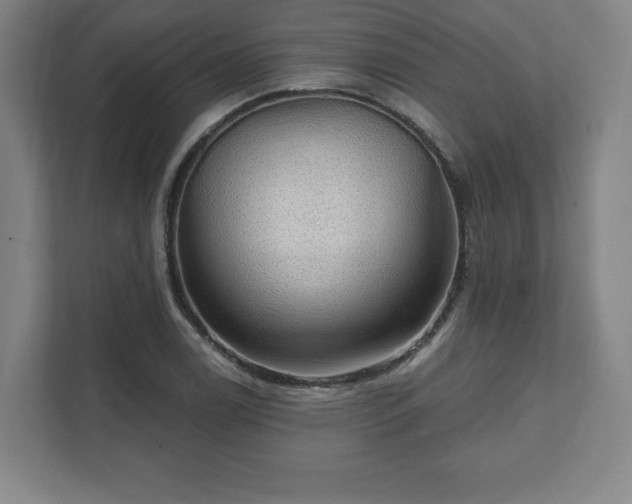 X0000111581122200907231230