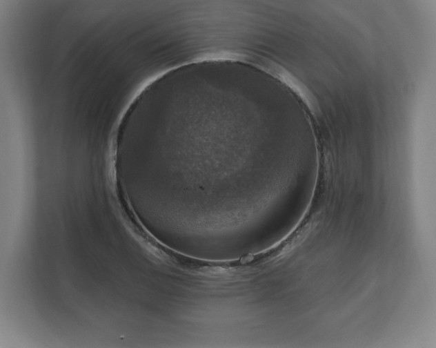 X0000111581124200907231230