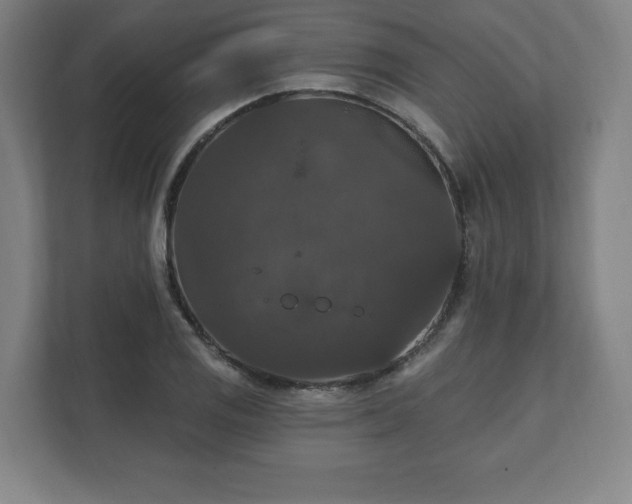 X0000111581125200907231230