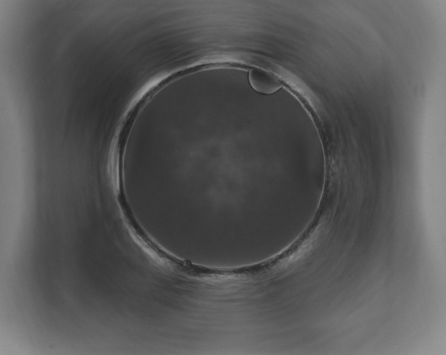 X0000111581127200907231230