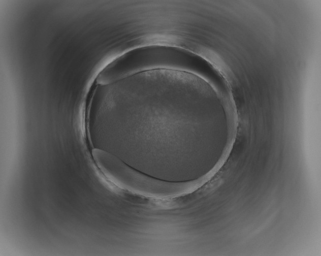 X0000111581128200907231230