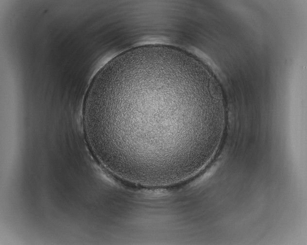 X0000111581129200907231230