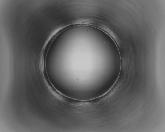 X0000111581131200907231230