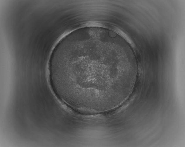 X0000111581133200907231230