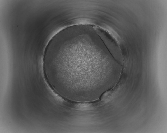 X0000111581134200907231230