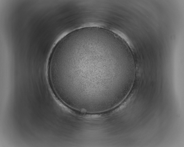 X0000111581135200907231230