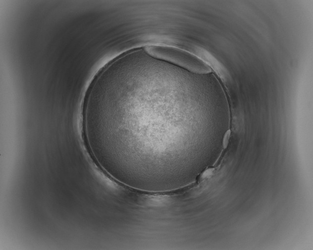 X0000111581136200907231230