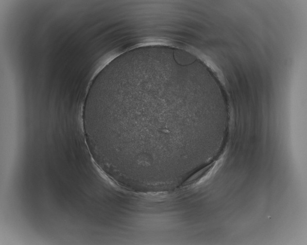 X0000111581137200907231230
