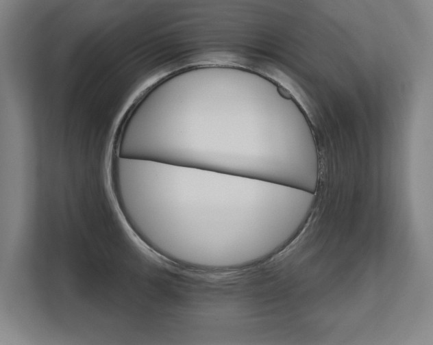 X0000111581139200907231230