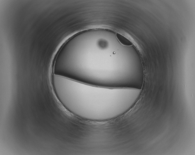 X0000111581140200907231230