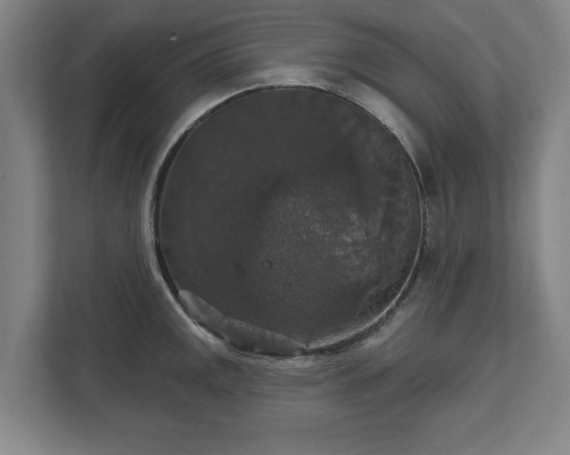 X0000111581141200907231230