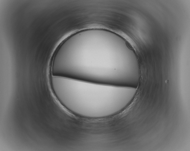 X0000111581142200907231230