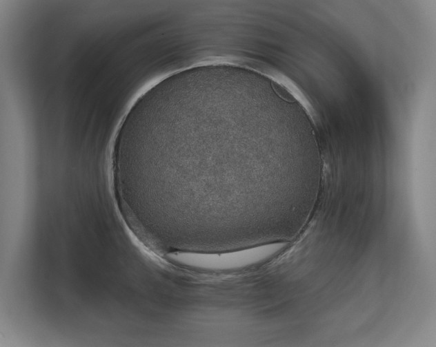 X0000111581143200907231230
