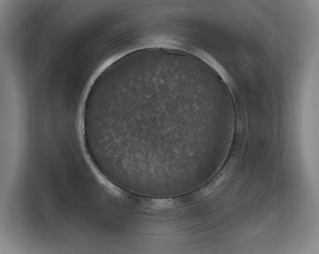 X0000111581144200907231230