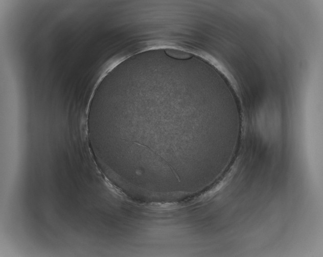 X0000111581145200907231230