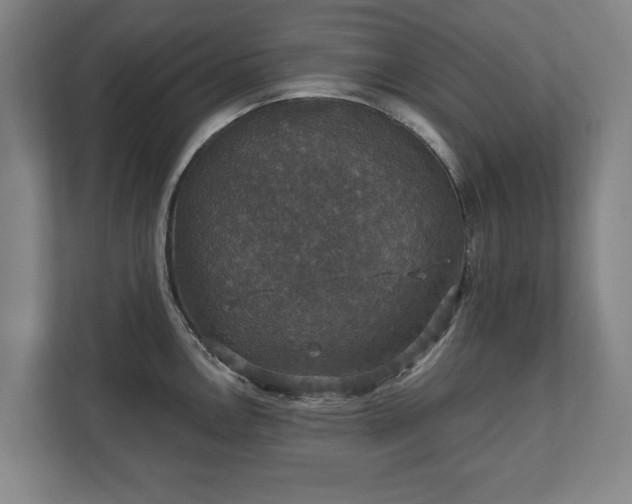 X0000111581146200907231230