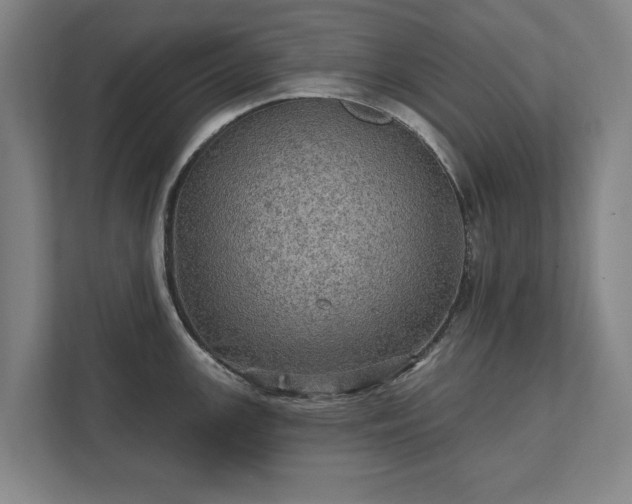 X0000111581147200907231230