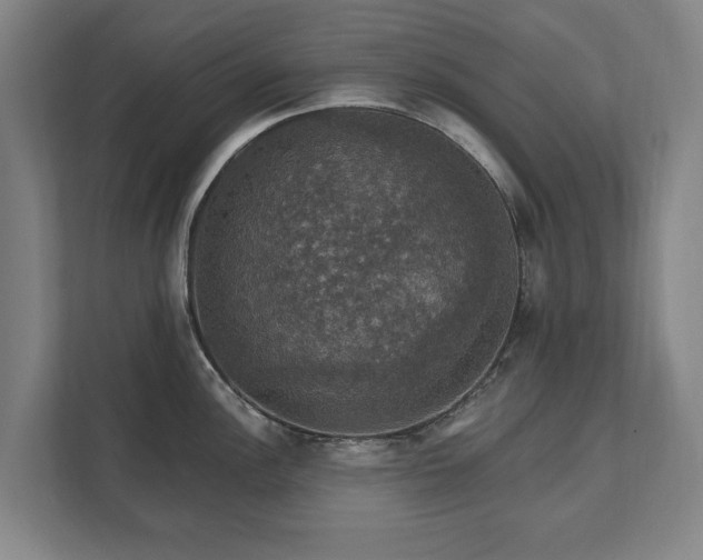 X0000111581148200907231230