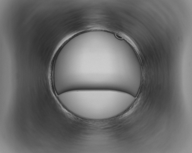 X0000111581149200907231230
