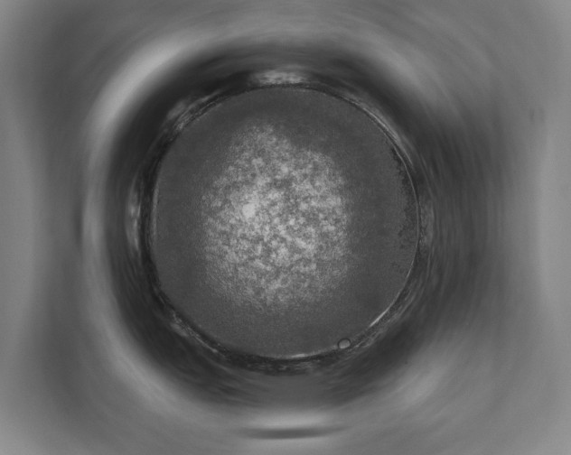 X0000111581151200907231230