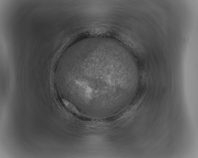 X0000111581153200907231229