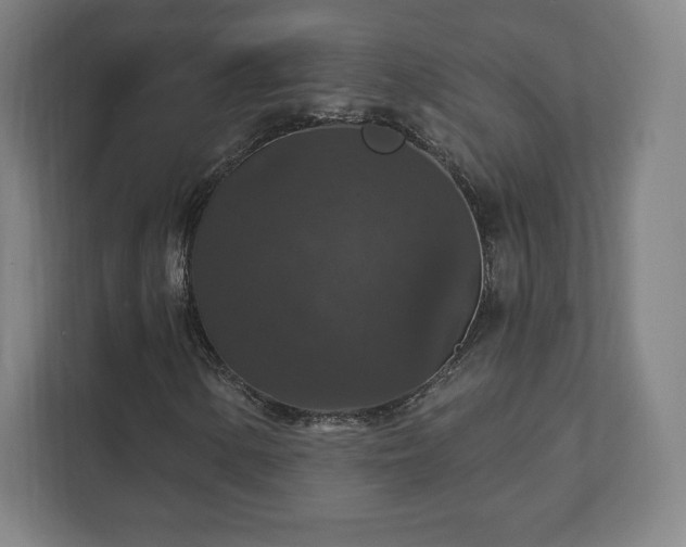 X0000111581154200907231229