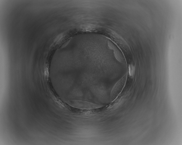 X0000111581155200907231229