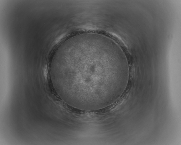 X0000111581157200907231229