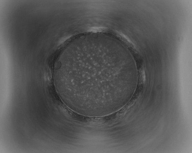 X0000111581158200907231229