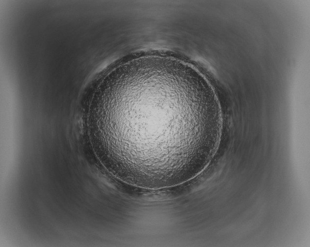 X0000111581159200907231229