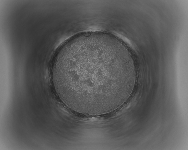 X0000111581160200907231229