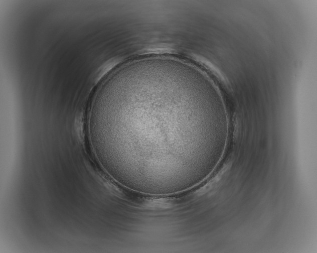 X0000111581162200907231229
