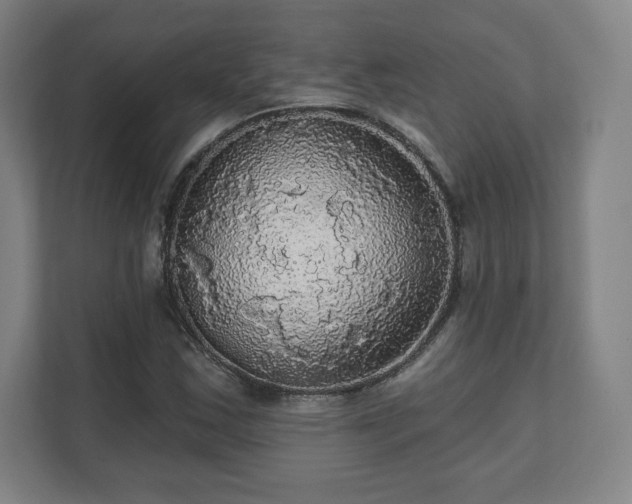 X0000111581163200907231229