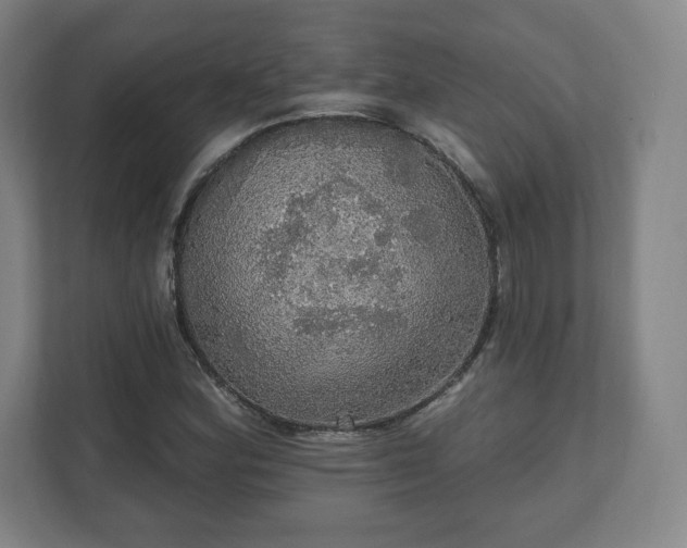 X0000111581164200907231229