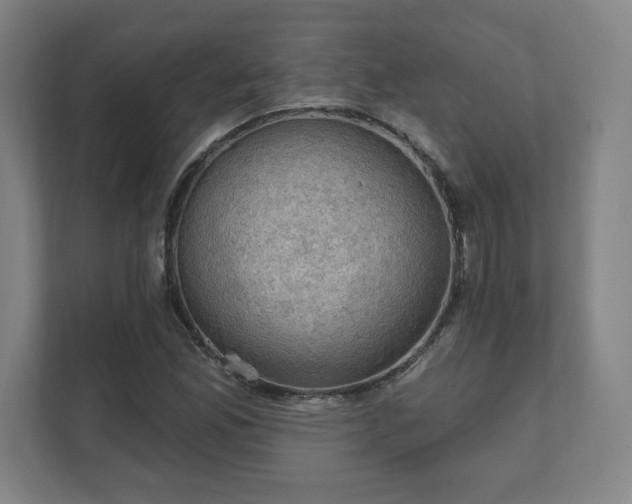 X0000111581165200907231229