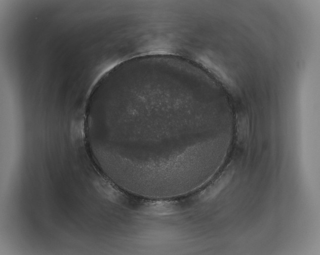 X0000111581166200907231229